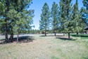 Ad# 5695222 golf course property for sale on GolfHomes.com