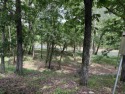  Ad# 6170905 golf course property for sale on GolfHomes.com