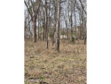 Beautiful, wooded golf front lot. Look no further. Great for sale in Vonore Tennessee Monroe County County on GolfHomes.com