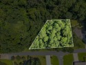 Build Your Dream Home in Golden Eagle - Nature at Your Back for sale in Tallahassee Florida Leon County County on GolfHomes.com