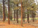 Premium Lot for sale in Flagstaff Ranch GC on the #4 Fairway for sale in Flagstaff Arizona Coconino County County on GolfHomes.com
