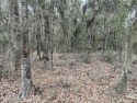 View this beautiful homesite in Grand Oaks Subdivision totaling for sale in Beaufort South Carolina Beaufort County County on GolfHomes.com