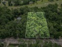 BEAUTFUL WOODED LOT ON THE FAIRWAY OF THE SANDS OF WAKULLA for sale in Crawfordville Florida Wakulla County County on GolfHomes.com