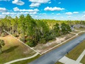 ARE YOU READY-TO-BUILD? 1.66 ACRE HOMESITE in Coveted Windswept for sale in Freeport Florida Walton County County on GolfHomes.com