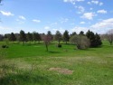 Perfect! Large gently-sloping lot with over 169' frontage on for sale in Reedsburg Wisconsin Sauk County County on GolfHomes.com