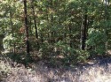 Great .32 acres lot located in a wonderful area of Nice Newer for sale in Bella Vista Arkansas Benton County County on GolfHomes.com