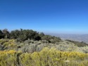 Stunning Northern Views from this pretty parcel in beautiful for sale in Tehachapi California Kern County County on GolfHomes.com