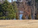 Cleared, ready to build, with Lake view in the rear. Very for sale in Wilson North Carolina Wilson County County on GolfHomes.com