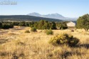 Enter this Luxury Ready-To-Build homesite through a gated for sale in Walsenburg Colorado Huerfano County County on GolfHomes.com