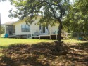LIGHT AND BRIGHT, CUTE COZY CRAFTMAN STYLE HOME ON TWO LOTS for sale in Nocona Texas Montague County County on GolfHomes.com