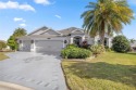 Welcome to this exquisite 3-bedroom, 2-bath Fern designer model for sale in The Villages Florida Sumter County County on GolfHomes.com