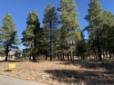 Stellar view of fairway 11 on this private 1/3 acre lot. Build for sale in Williams Arizona Coconino County County on GolfHomes.com