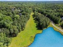 Discover the epitome of luxury living with this spectacular 5 for sale in Milton Georgia Fulton County County on GolfHomes.com