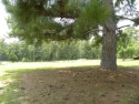 Golf course lots available to build your dream home!! This for sale in Ozark Alabama Dale County County on GolfHomes.com