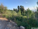 Get away from it all at this beautiful 1.06 acre lot with some for sale in Fairview Utah Sanpete County County on GolfHomes.com