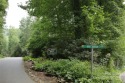 Priced well below assessed value. Owner will consider reasonable for sale in Burnsville North Carolina Yancey County County on GolfHomes.com