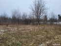 One-acre parcel minutes from Ann Arbor, Michigan Football for sale in Ann Arbor Michigan Washtenaw County County on GolfHomes.com