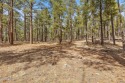  Ad# 6107235 golf course property for sale on GolfHomes.com