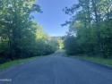 OPPORTUNITY ABOUNDS! with these TWO lots for less than the tax for sale in Tazewell Tennessee Claiborne County County on GolfHomes.com