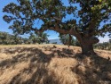 Looking to build your dream home or vacation retreat? Make your for sale in Tehachapi California Kern County County on GolfHomes.com