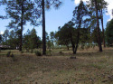 Land - Alto, NM Beautiful Golf Membership Lot that backs up to for sale in Alto New Mexico Lincoln County County on GolfHomes.com
