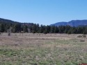 Connie Goodnight, Land Properties, LLC, C: , connie,  : Prime for sale in South Fork Colorado Rio Grande County County on GolfHomes.com