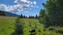 This 2+/- acres is conveniently located between Silver Lake and for sale in Anaconda Montana Deer Lodge County County on GolfHomes.com