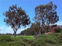 Welcome to 30411 Mirador Court.  This Laguna Niguel single-level for sale in Laguna Niguel California Orange County County on GolfHomes.com