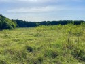 Need space and serenity?  Build your custom home on 1.58 acres, Texas