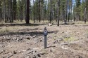 Special incentive - Developer will pay Buyer's HOA dues until for sale in Bend Oregon Deschutes County County on GolfHomes.com