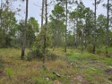 Vacant .23 acre lot on Williston Hylands Golf & Country Club for sale in Williston Florida Levy County County on GolfHomes.com