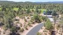 Here's one of Rim Club's Best Build Lots! Great views all around for sale in Payson Arizona Gila County County on GolfHomes.com