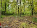 PRICE REDUCED! 3.76 Acre wooded lot for sale, Private yet so for sale in Stroudsburg Pennsylvania Monroe County County on GolfHomes.com
