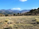 Connie Goodnight, Land Properties, LLC, C: , connie,  : Nice for sale in South Fork Colorado Rio Grande County County on GolfHomes.com