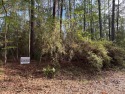 Perfect For Your Toledo Bend Dream Build! for sale in Hemphill Texas Sabine County County on GolfHomes.com