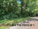 TWO lots for the price of ONE!, Tennessee