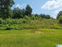 Check out the PANORAMIC VIEW from this Estate Home Site! What an for sale in Gardendale Alabama Jefferson County County on GolfHomes.com