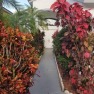  Ad# 6037782 golf course property for sale on GolfHomes.com