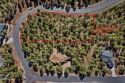 Estate Lot for sale 1.17 acre, heavily treed, easy build for sale in Flagstaff Arizona Coconino County County on GolfHomes.com