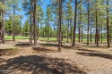 Build your dream home on FRGC's 8th Fairway. Beautiful level for sale in Flagstaff Arizona Coconino County County on GolfHomes.com