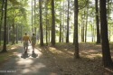  Ad# 6595796 golf course property for sale on GolfHomes.com