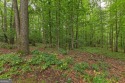  Ad# 6158692 golf course property for sale on GolfHomes.com