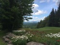  Ad# 6135934 golf course property for sale on GolfHomes.com