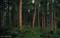 1.58 ACRES WITH POTENTIAL ROLLING MOUNTAIN VIEWS!!! ONLY A for sale in Albrightsville Pennsylvania Monroe County County on GolfHomes.com