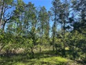  Ad# 6470040 golf course property for sale on GolfHomes.com