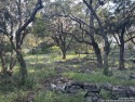 LOOKING TO BUILD YOUR DREAM HOME?  .312 Lot in a PARK-LIKE for sale in San Antonio Texas Bexar County County on GolfHomes.com