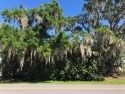 Build your lakefront dream home under a canopy of beautiful for sale in Kissimmee Florida Osceola County County on GolfHomes.com