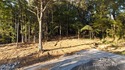Welcome to Lot 8 of Timber Trail S/D, a 11.34 acre lot offering for sale in Senatobia Mississippi Tate County County on GolfHomes.com