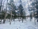 One of the last buildable lots available on Greater Bass Lake for sale in Summit Lake Wisconsin Langlade County County on GolfHomes.com