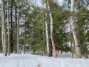 One of the last vacant lots available on Greater Bass Lake! for sale in Summit Lake Wisconsin Langlade County County on GolfHomes.com